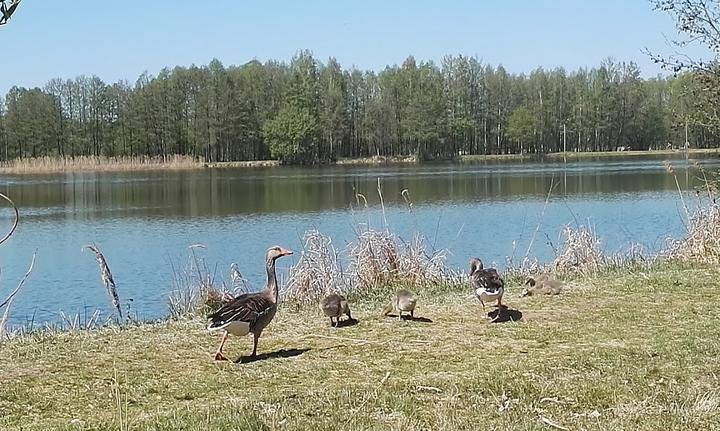 Spreewaldgasthaus Petkampsberg